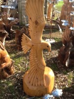 p. Eagle on Wing.jpg